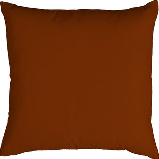 throw pillow 6131 1