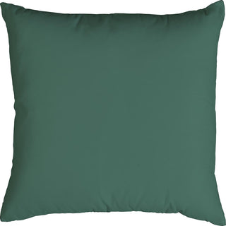 throw pillow 7149 1