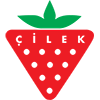 Çilek-logo